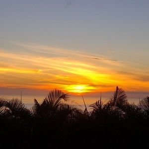 Meet your Posher, Marg